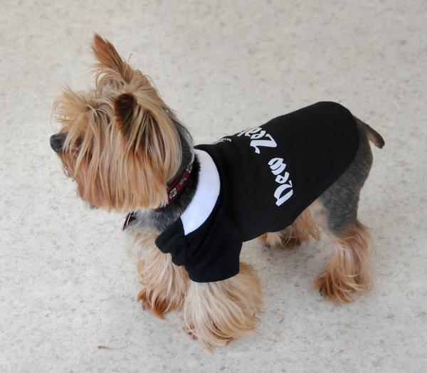 Perfect pooch accessory for Rugby World Cup